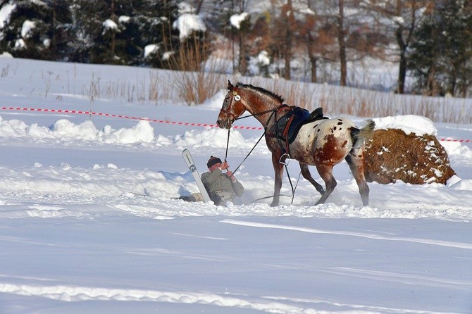 Parada Gazdowska i wyścigi kumoterek