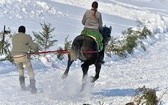 Parada Gazdowska i wyścigi kumoterek