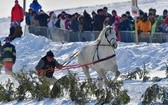 Parada Gazdowska i wyścigi kumoterek