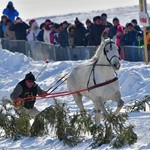 Parada Gazdowska i wyścigi kumoterek