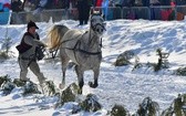 Parada Gazdowska i wyścigi kumoterek