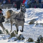 Parada Gazdowska i wyścigi kumoterek