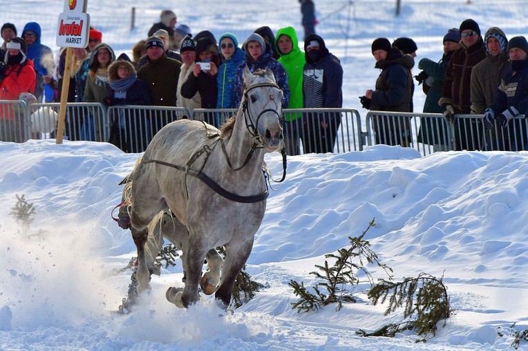 Parada Gazdowska i wyścigi kumoterek