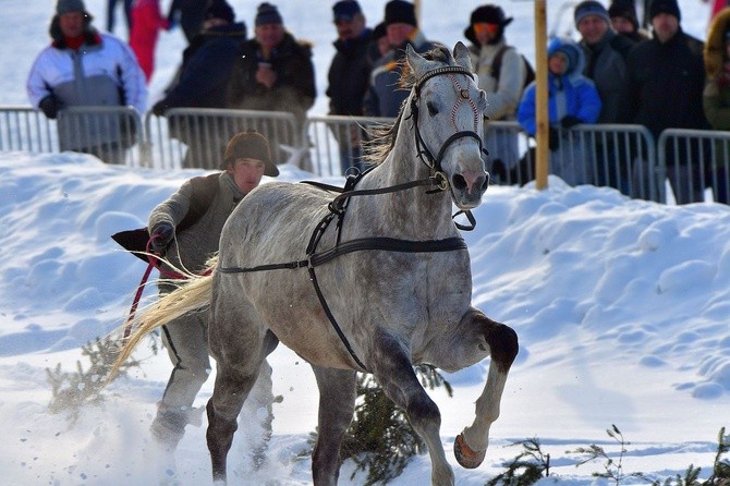 Parada Gazdowska i wyścigi kumoterek