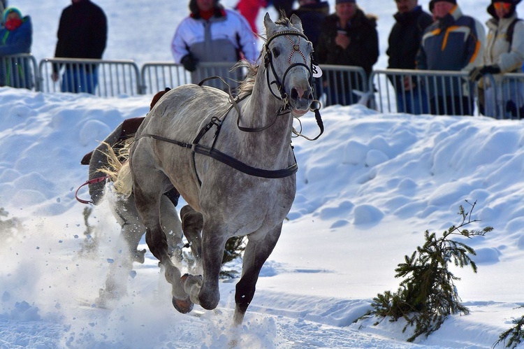 Parada Gazdowska i wyścigi kumoterek