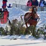 Parada Gazdowska i wyścigi kumoterek