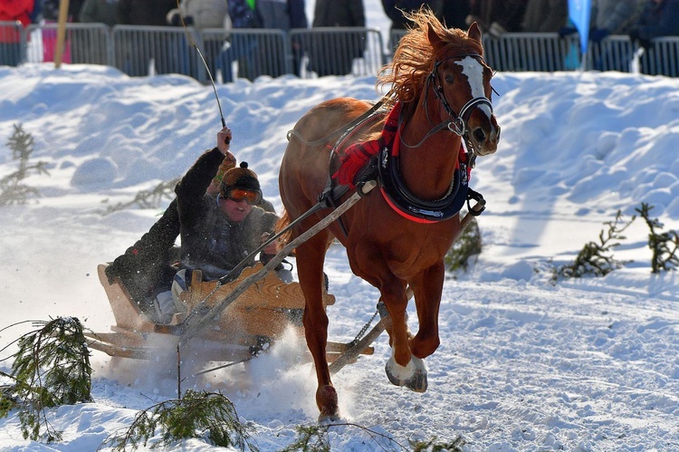 Parada Gazdowska i wyścigi kumoterek