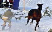 Parada Gazdowska i wyścigi kumoterek