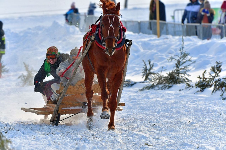 Parada Gazdowska i wyścigi kumoterek