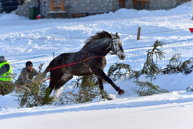 Parada Gazdowska i wyścigi kumoterek