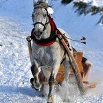 Parada Gazdowska i wyścigi kumoterek