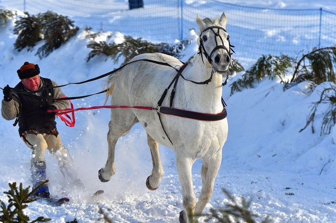 Parada Gazdowska i wyścigi kumoterek