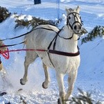 Parada Gazdowska i wyścigi kumoterek