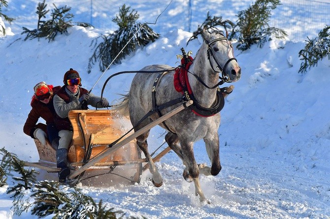 Parada Gazdowska i wyścigi kumoterek