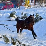 Parada Gazdowska i wyścigi kumoterek