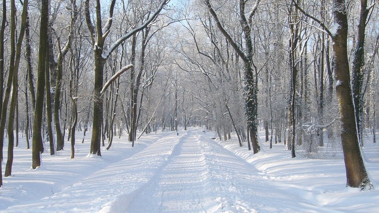 Polska jest w zasięgu wyżu znad Skandynawii