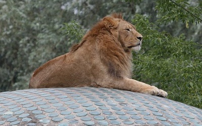 90 lat temu otwarto warszawskie ZOO