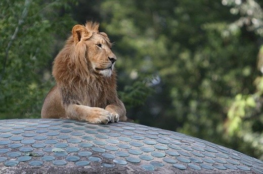 Warszawskie ZOO ma 90 lat