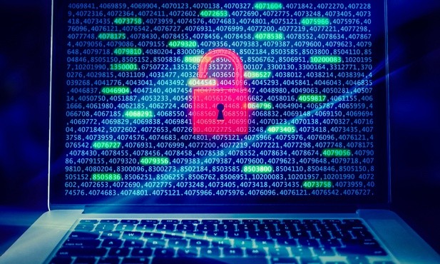 Świat opleciony siecią