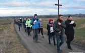 Droga Krzyżowa na Camino 