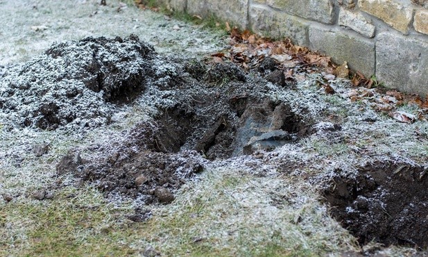 Broń na terenie sanktuarium