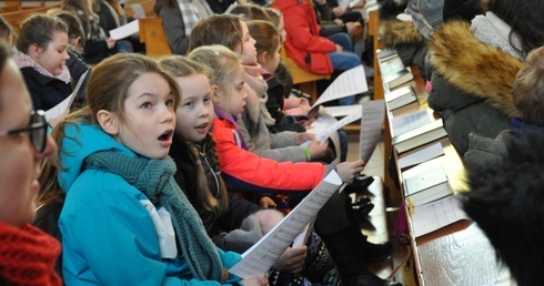 Wrzoski, schole i... chihuahua