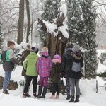 Konkurs o bł. Julii z Nawojowej