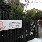 Brak tytułu