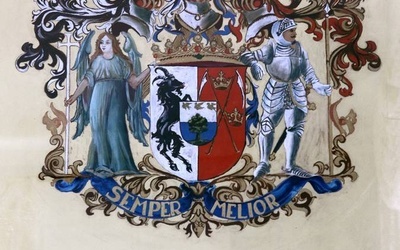 Brak tytułu