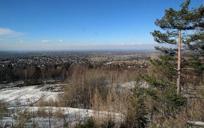 Brak tytułu