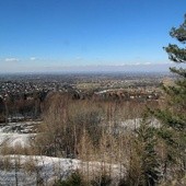 Brak tytułu