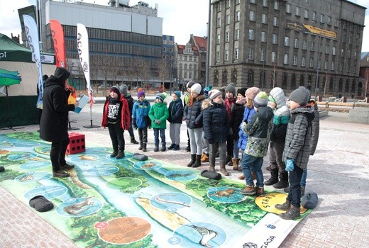 Dzień Wody w Katowicach 