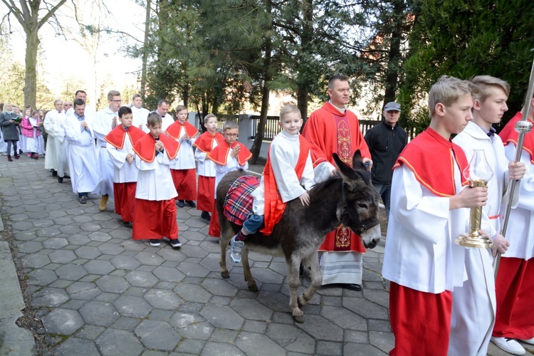 Opole-Szczepanowice: Procesja w Niedzielę Palmową