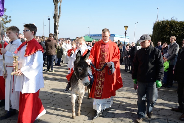 Opole-Szczepanowice: Procesja w Niedzielę Palmową