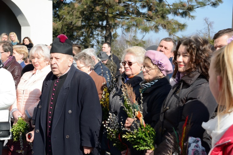 Opole-Szczepanowice: Procesja w Niedzielę Palmową