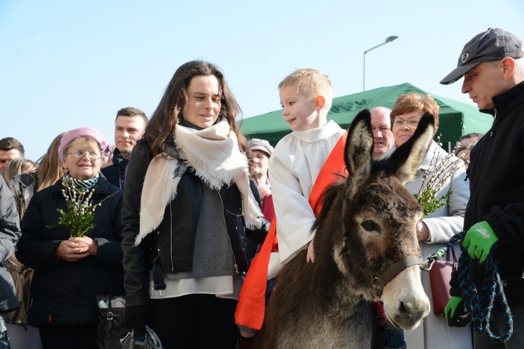 Opole-Szczepanowice: Procesja w Niedzielę Palmową