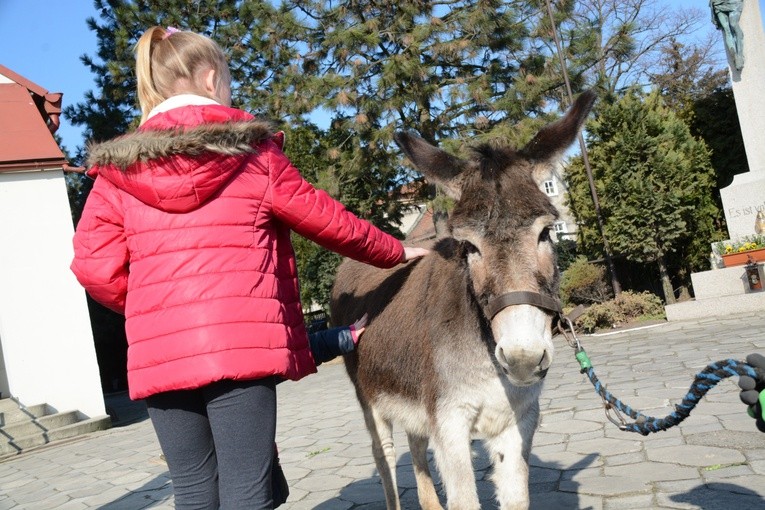 Opole-Szczepanowice: Procesja w Niedzielę Palmową