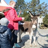 Opole-Szczepanowice: Procesja w Niedzielę Palmową