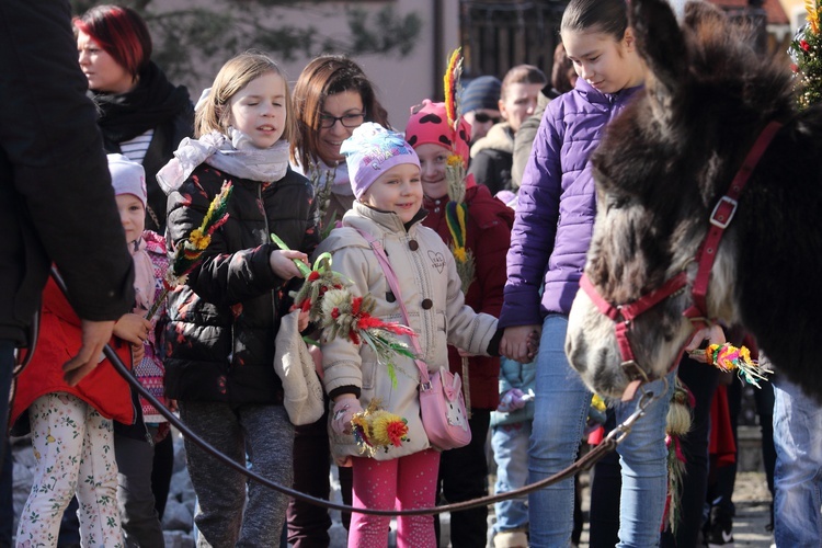 Niedziela z osiołkiem