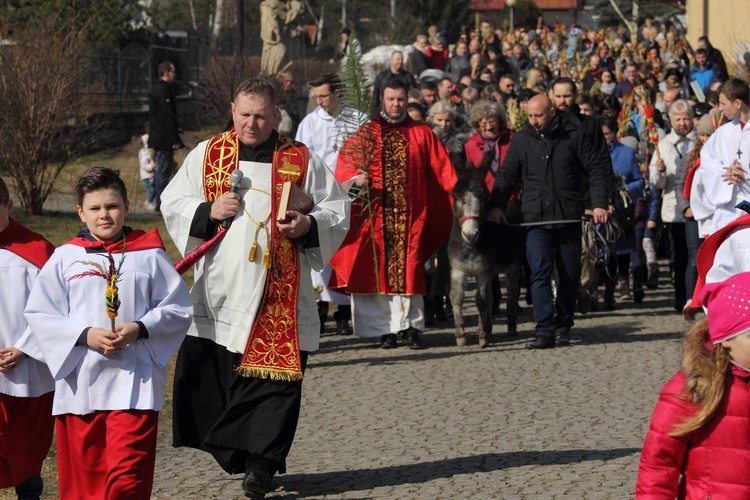 Niedziela z osiołkiem