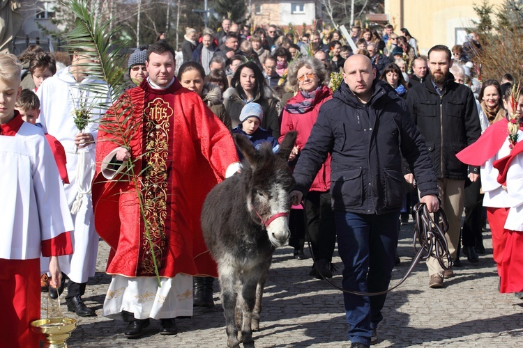 Niedziela z osiołkiem