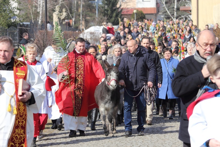 Niedziela z osiołkiem