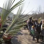 Niedziela Palmowa w Bielańskim Lesie