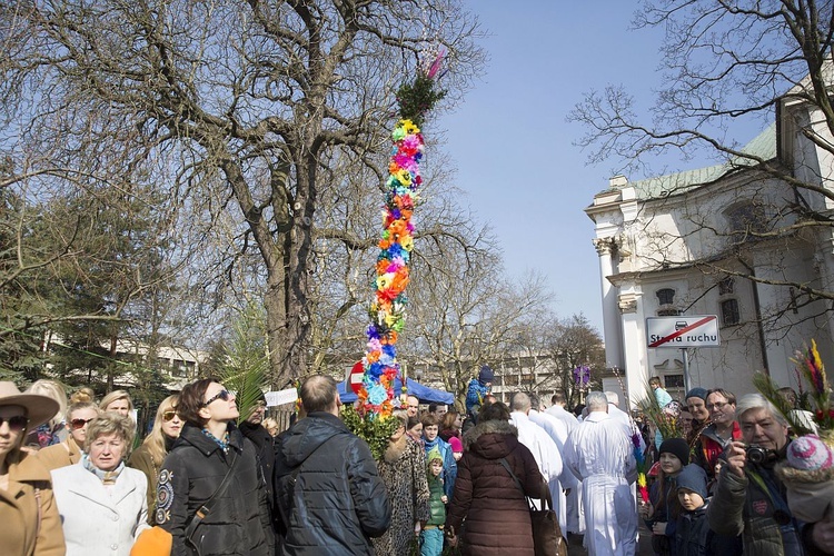 Niedziela Palmowa w Bielańskim Lesie