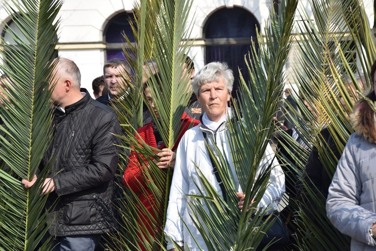 Niedziela Palmowa w Łowiczu