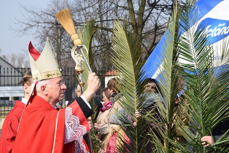 Niedziela Palmowa w Łowiczu