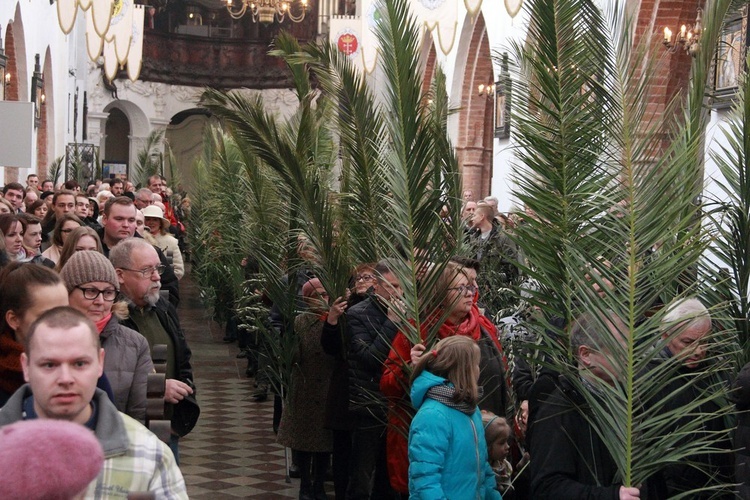 Eucharystia Niedzieli Palmowej