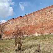 ▲	Mury obronne Żor od ul. Ogrodowej – widok obecny.