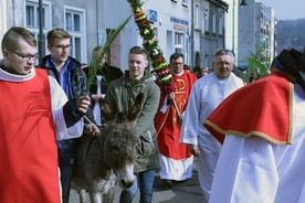 Osiołek prosto z... Ewangelii 