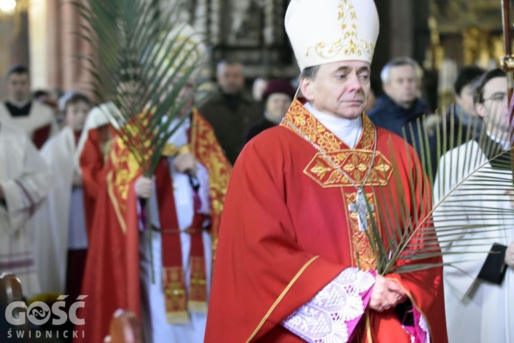 Niedziela Palmowa z rocznicą powstania diecezji.